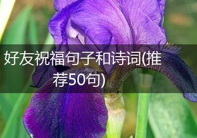 好友祝福句子和诗词(推荐50句)