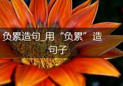 负累造句_用“负累”造句子