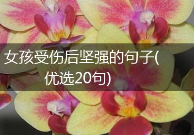 女孩受伤后坚强的句子(优选20句)