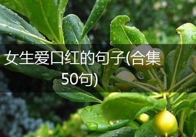 女生爱口红的句子(合集50句)