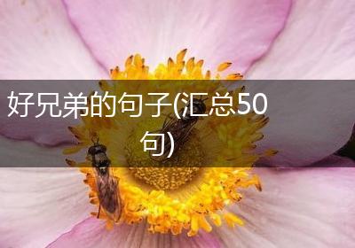 好兄弟的句子(汇总50句)