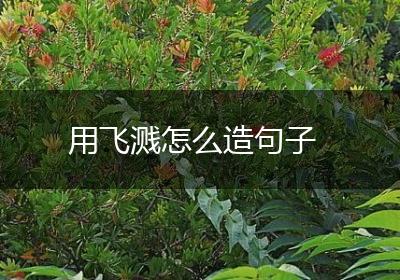 用飞溅怎么造句子