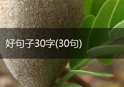 好句子30字(30句)