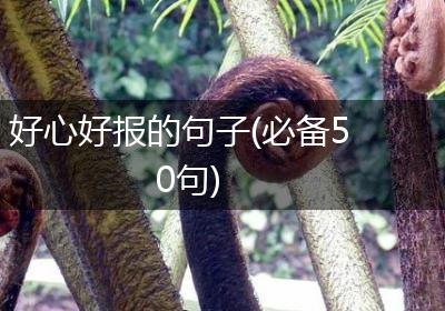 好心好报的句子(必备50句)