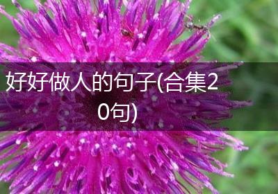 好好做人的句子(合集20句)