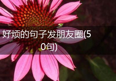 好烦的句子发朋友圈(50句)