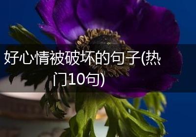 好心情被破坏的句子(热门10句)