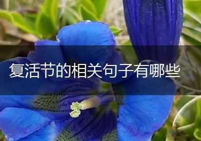 复活节的相关句子有哪些