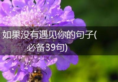 如果没有遇见你的句子(必备39句)