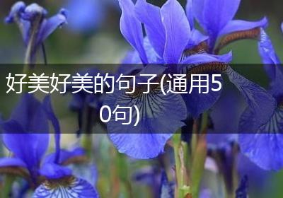 好美好美的句子(通用50句)