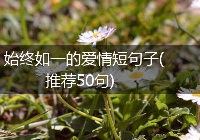 始终如一的爱情短句子(推荐50句)