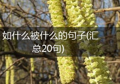 如什么被什么的句子(汇总20句)