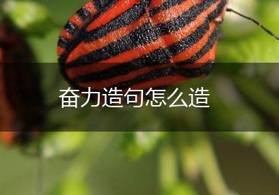 奋力造句怎么造