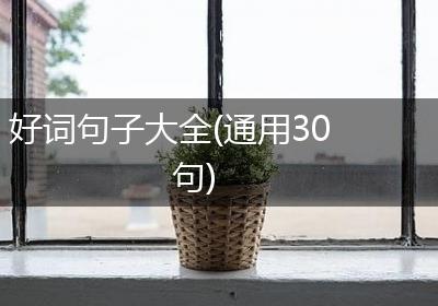 好词句子大全(通用30句)