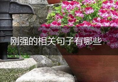 刚强的相关句子有哪些