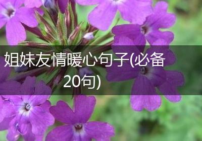 姐妹友情暖心句子(必备20句)