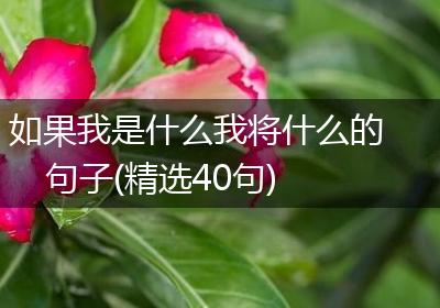 如果我是什么我将什么的句子(精选40句)