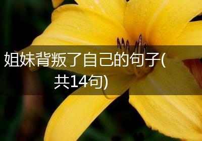 姐妹背叛了自己的句子(共14句)