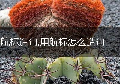 航标造句,用航标怎么造句