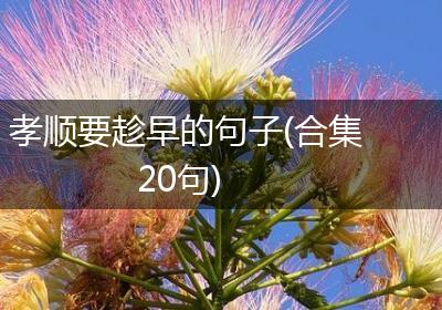 孝顺要趁早的句子(合集20句)