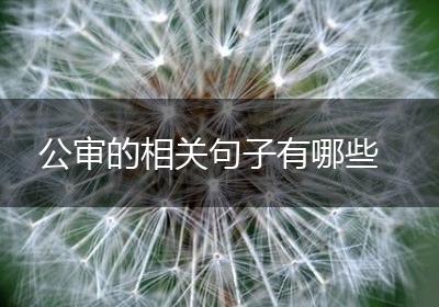公审的相关句子有哪些
