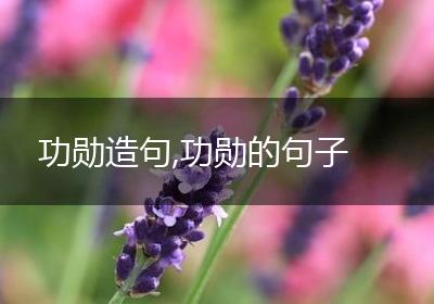 功勋造句,功勋的句子