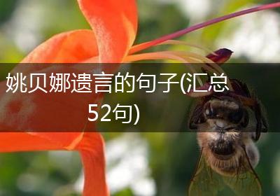 姚贝娜遗言的句子(汇总52句)