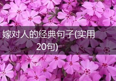 嫁对人的经典句子(实用20句)