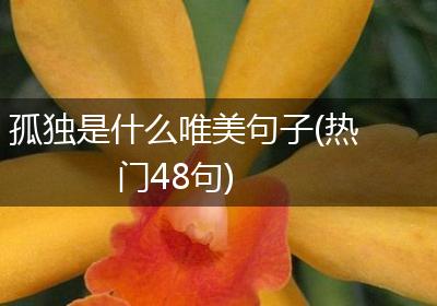 孤独是什么唯美句子(热门48句)