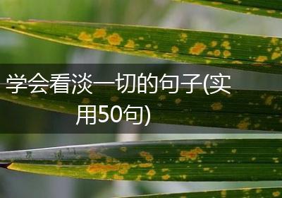 学会看淡一切的句子(实用50句)