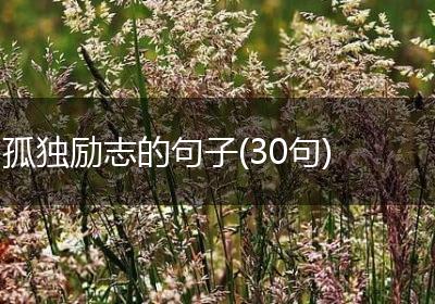 孤独励志的句子(30句)