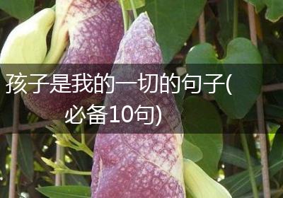 孩子是我的一切的句子(必备10句)
