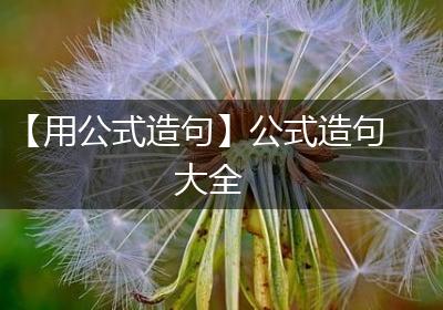 【用公式造句】公式造句大全