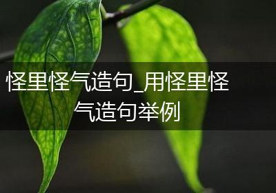 怪里怪气造句_用怪里怪气造句举例