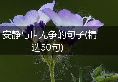 安静与世无争的句子(精选50句)