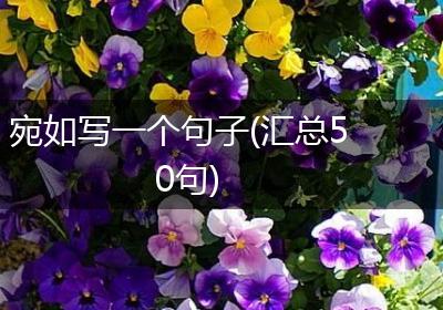 宛如写一个句子(汇总50句)