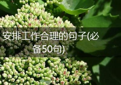 安排工作合理的句子(必备50句)