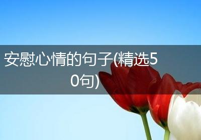 安慰心情的句子(精选50句)