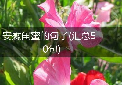 安慰闺蜜的句子(汇总50句)