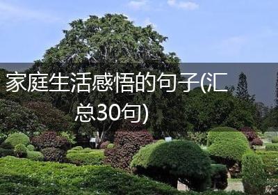 家庭生活感悟的句子(汇总30句)