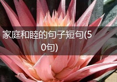 家庭和睦的句子短句(50句)