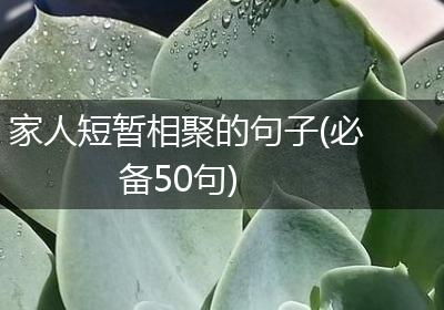 家人短暂相聚的句子(必备50句)