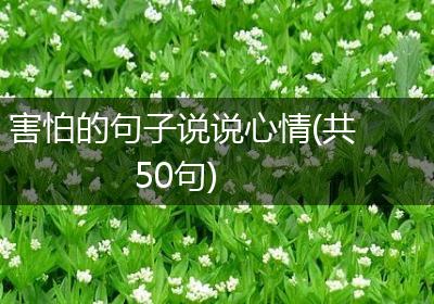 害怕的句子说说心情(共50句)