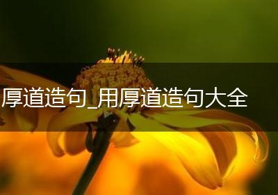 厚道造句_用厚道造句大全