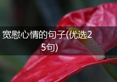 宽慰心情的句子(优选25句)