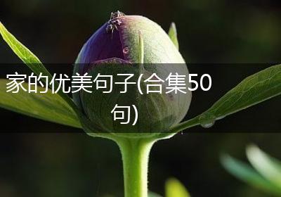 家的优美句子(合集50句)