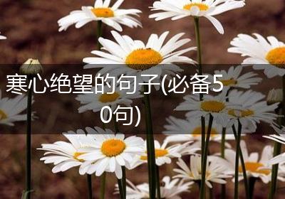 寒心绝望的句子(必备50句)
