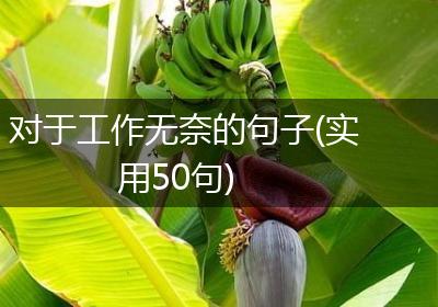 对于工作无奈的句子(实用50句)