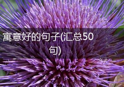 寓意好的句子(汇总50句)