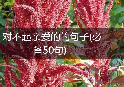 对不起亲爱的的句子(必备50句)